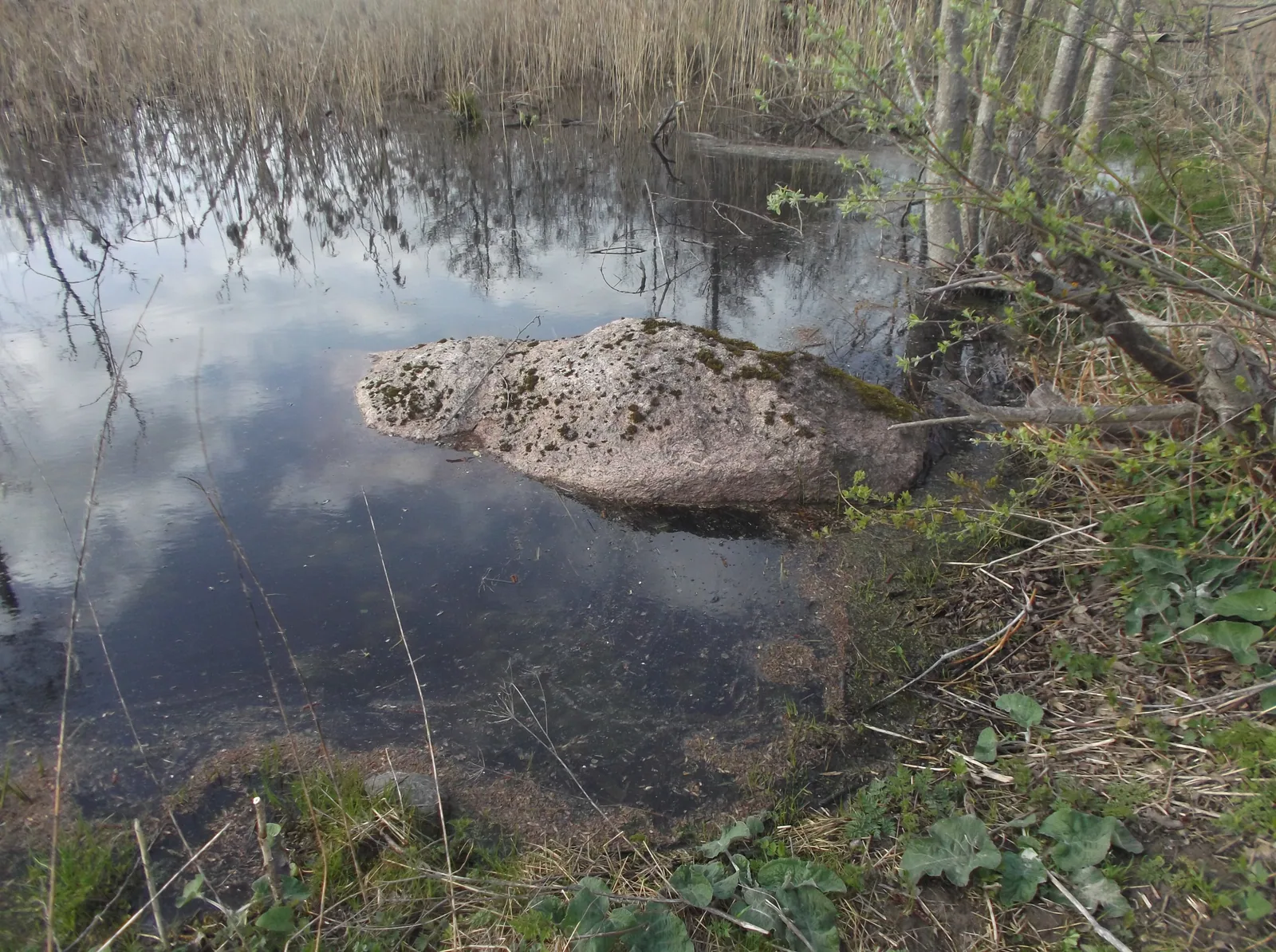 Вялікі камень Юшкавіцкі (мал.) — достопримечательность в Нарочанском крае